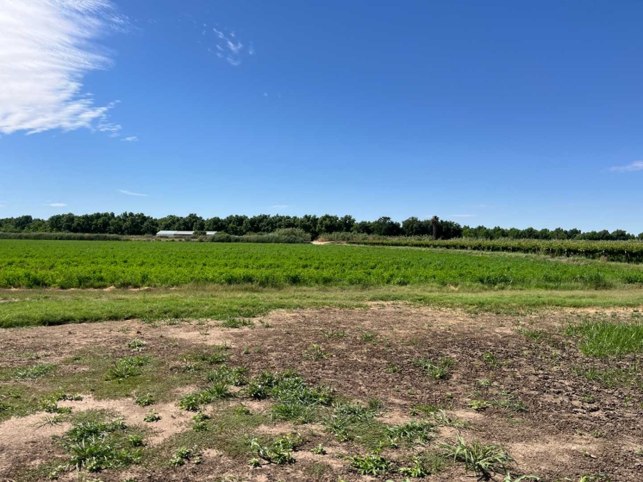 0 Bedroom Property for Sale in Middelpos Northern Cape